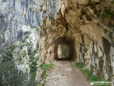 Ruta Cares-Picos de Europa; parque natural pagoeta nacimiento del rio pisuerga marcha 7 picos